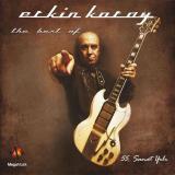 The Best of Erkin Koray