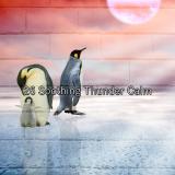26 Soothing Thunder Calm