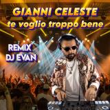Te voglio troppo bene - DJ evan remix