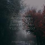 50 Sonidos Ambientales Estimulantes Para El Sueño Y La Serenidad