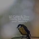 50 Calm & Slow Tracks for Sleep and Serenity