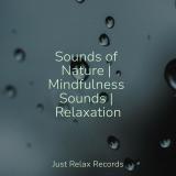 Sounds of Nature | Mindfulness Sounds | Relaxation