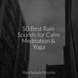 50 Best Rain Sounds for Calm Meditation & Yoga