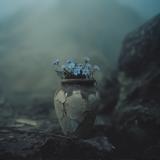 Unutma Beni Çiçekleri (Benim Kalem)