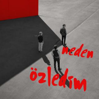 Neden Özledim