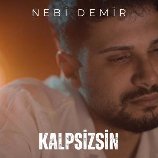 Kalpsizsin