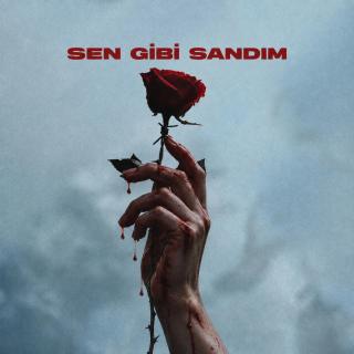 Sen Gibi Sandım