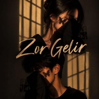 Zor Gelir