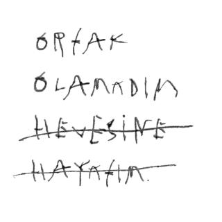 ortak olamadım hevesine