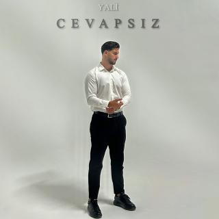 Cevapsız