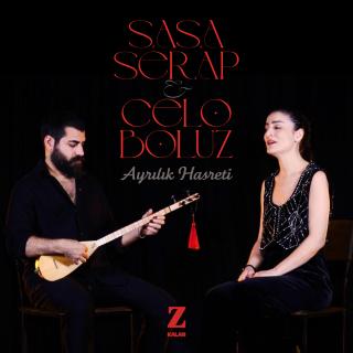 Ayrılık Hasreti