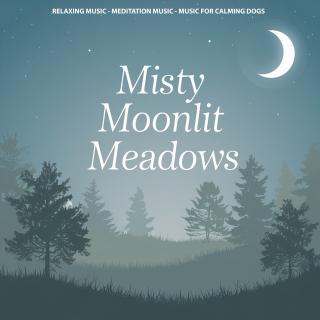 Misty Moonlit Meadows
