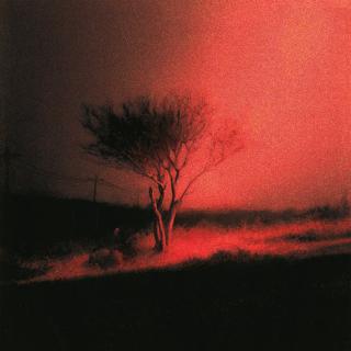 Hotel California