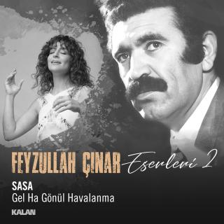 Gel Ha Gönül Havalanma (Feyzullah Çınar Eserleri 2)