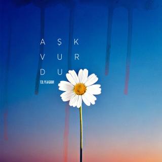 Aşk Vurdu