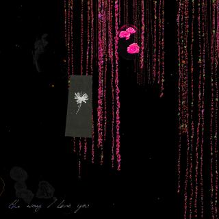 The Way I Love You - Remixes