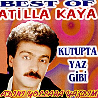 Best Of - Kutupta Yaz Gibi / Adını Yollara Yazdım