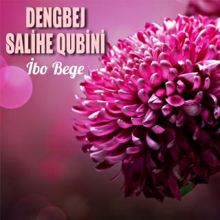 İbo Bege