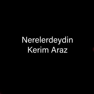 Nerelerdeydin