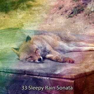 33 Sleepy Rain Sonata