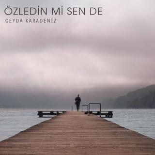 Özledin mi Sen de?