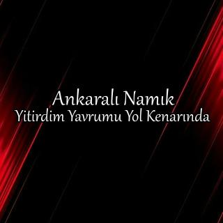 Yitirdim Yavrumu Yol Kenarında