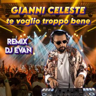 Te voglio troppo bene - DJ evan remix