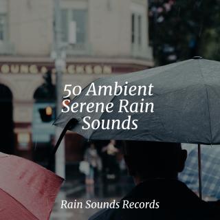 50 Ambient Serene Rain Sounds