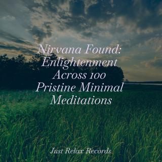 Nirvana Found: Enlightenment Across 100 Pristine Minimal Meditations
