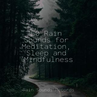 50 Rain Sounds for Meditation, Sleep and Mindfulness
