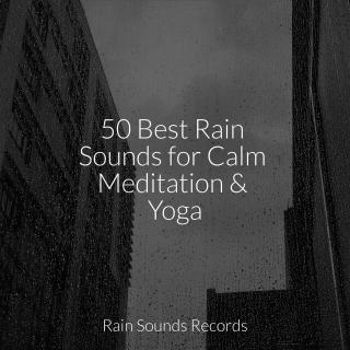 50 Best Rain Sounds for Calm Meditation & Yoga