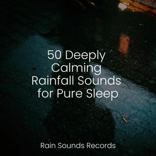 50 Deeply Calming Rainfall Sounds for Pure Sleep