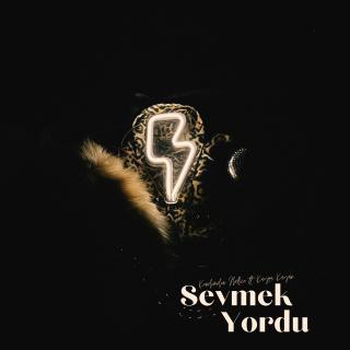 Sevmek Yordu