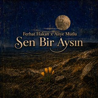 Sen Bir Aysın