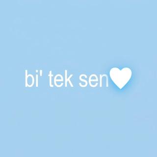Bi Tek Sen