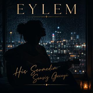Hiç Sevmedim Sensiz Geceyi