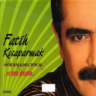 Mor Salkımlı Sokak-2 (...Ve Senin Şiirlerim...)
