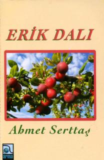 Erik Dalı