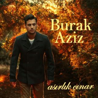 Asırlık Çınar