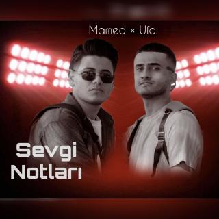 Sevgi Notları